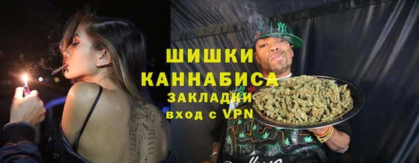 стафф Каменка