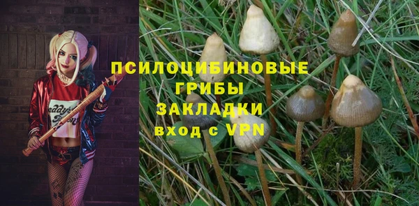 стафф Каменка