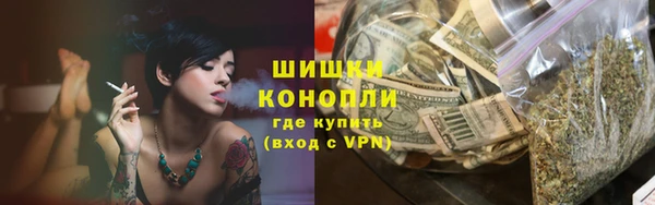 стафф Каменка