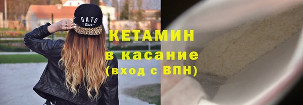 гидра Абаза