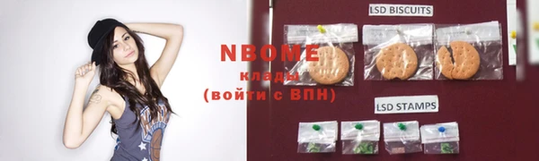 стафф Каменка