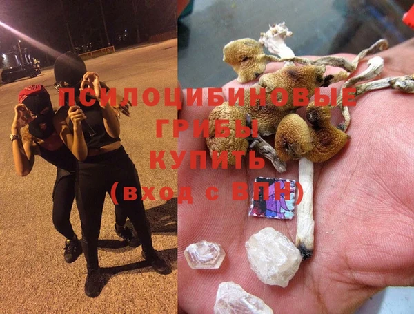 крисы Абдулино