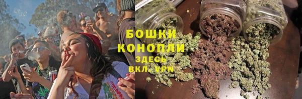 стафф Каменка