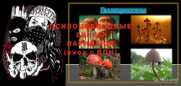 амф Каменск-Шахтинский