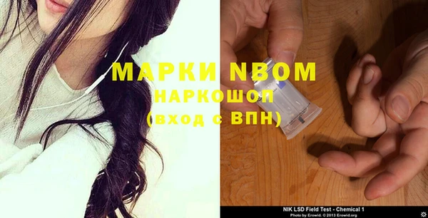 стафф Каменка
