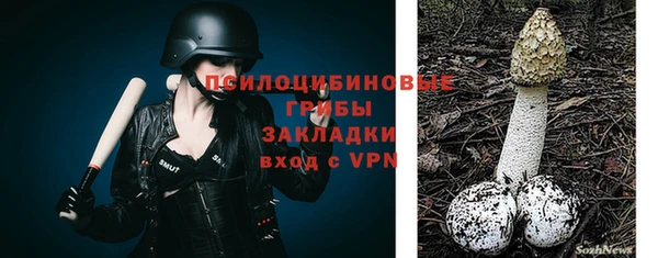 стафф Каменка