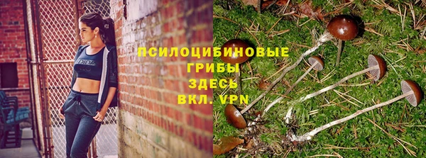 эйфоретик Абинск