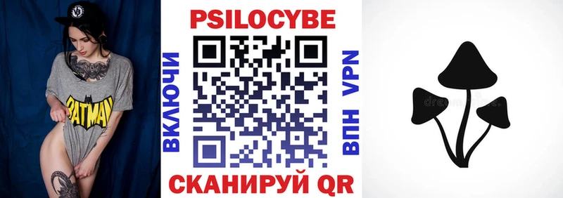 Галлюциногенные грибы Psilocybe Электросталь